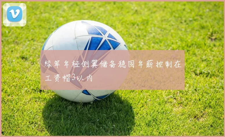 绿军年轻侧翼储备稳固年薪控制在工资帽3以内